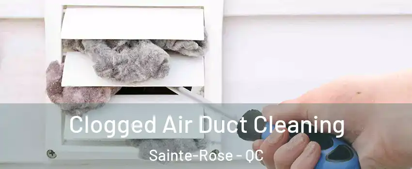  Clogged Air Duct Cleaning Sainte-Rose - QC