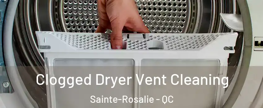  Clogged Dryer Vent Cleaning Sainte-Rosalie - QC