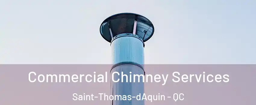  Commercial Chimney Services Saint-Thomas-dAquin - QC