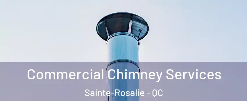  Commercial Chimney Services Sainte-Rosalie - QC
