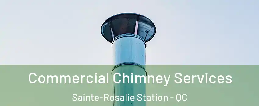  Commercial Chimney Services Sainte-Rosalie Station - QC