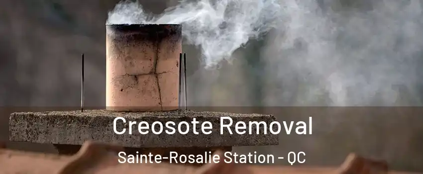  Creosote Removal Sainte-Rosalie Station - QC