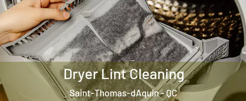  Dryer Lint Cleaning Saint-Thomas-dAquin - QC