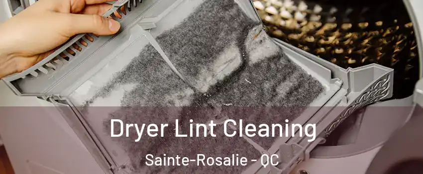  Dryer Lint Cleaning Sainte-Rosalie - QC