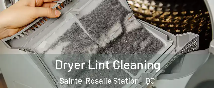  Dryer Lint Cleaning Sainte-Rosalie Station - QC