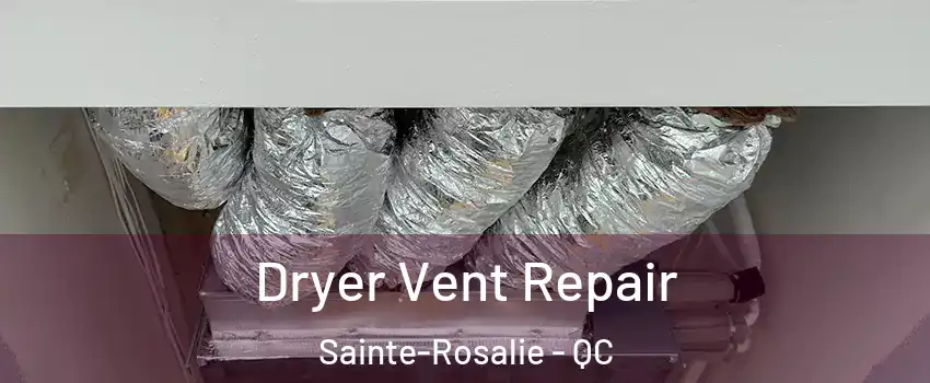  Dryer Vent Repair Sainte-Rosalie - QC