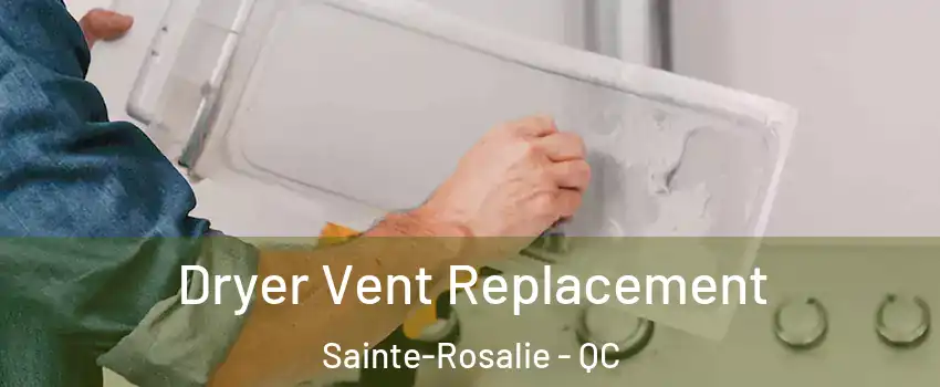  Dryer Vent Replacement Sainte-Rosalie - QC