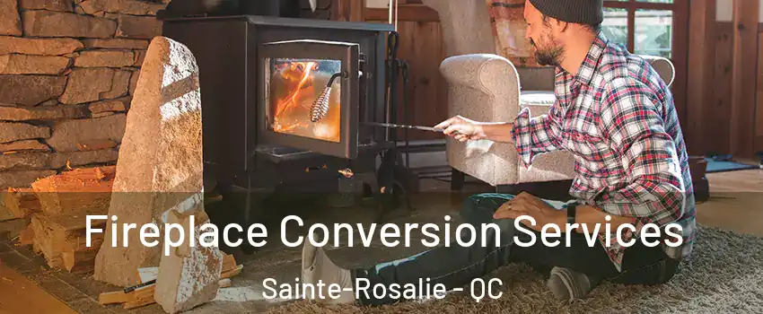  Fireplace Conversion Services Sainte-Rosalie - QC