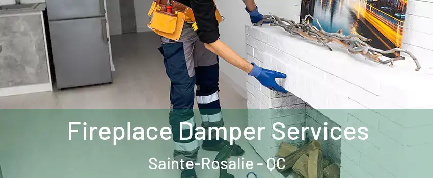  Fireplace Damper Services Sainte-Rosalie - QC