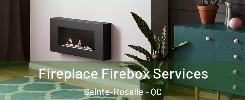  Fireplace Firebox Services Sainte-Rosalie - QC