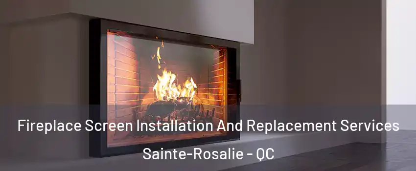 Fireplace Screen Installation And Replacement Services Sainte-Rosalie - QC