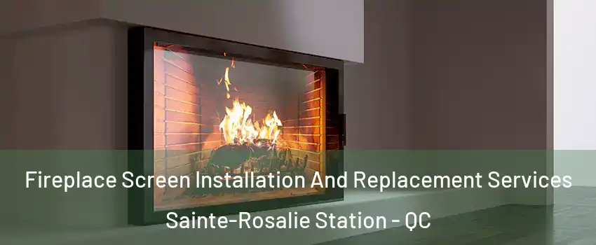 Fireplace Screen Installation And Replacement Services Sainte-Rosalie Station - QC