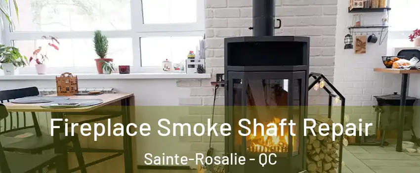  Fireplace Smoke Shaft Repair Sainte-Rosalie - QC