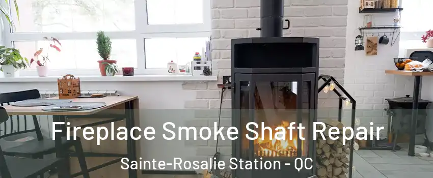  Fireplace Smoke Shaft Repair Sainte-Rosalie Station - QC