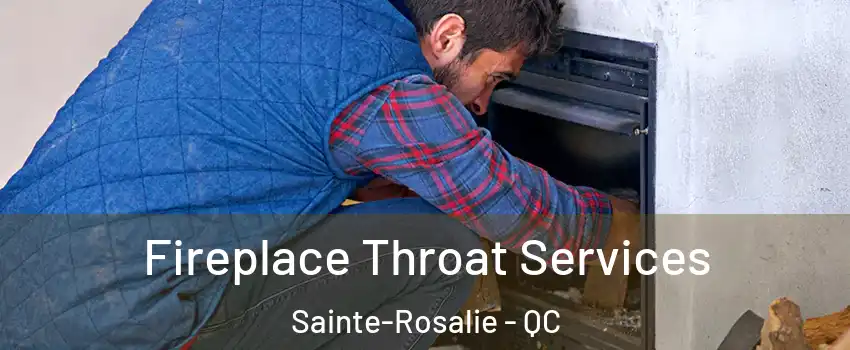  Fireplace Throat Services Sainte-Rosalie - QC