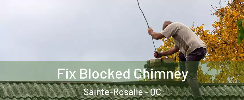  Fix Blocked Chimney Sainte-Rosalie - QC