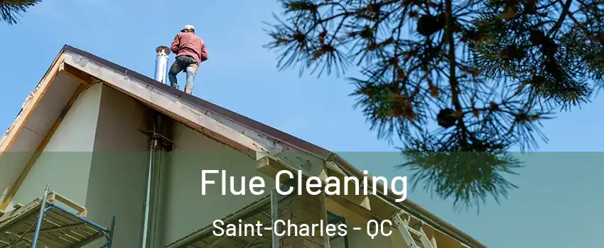  Flue Cleaning Saint-Charles - QC