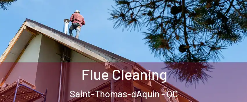  Flue Cleaning Saint-Thomas-dAquin - QC