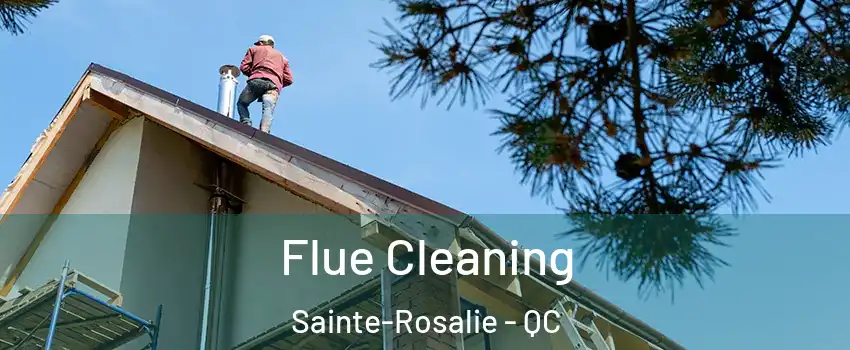  Flue Cleaning Sainte-Rosalie - QC