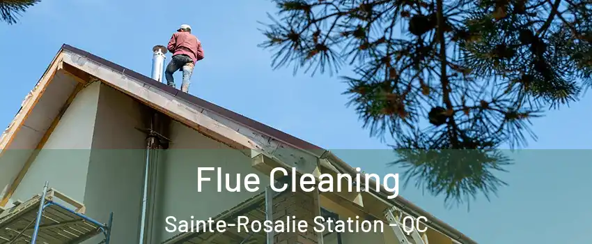  Flue Cleaning Sainte-Rosalie Station - QC