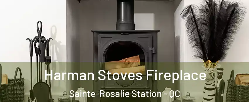  Harman Stoves Fireplace Sainte-Rosalie Station - QC