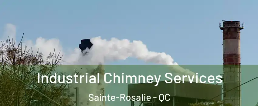  Industrial Chimney Services Sainte-Rosalie - QC