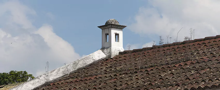 Wind-Resistant Chimney Caps Installation and Repair Services in Saint-Charles, Quebec