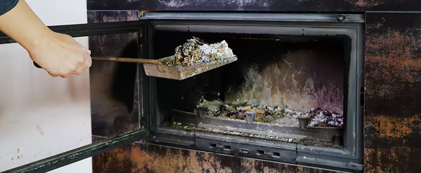 Wood Burning Chimney Odor Removal in Saint-Charles, Quebec