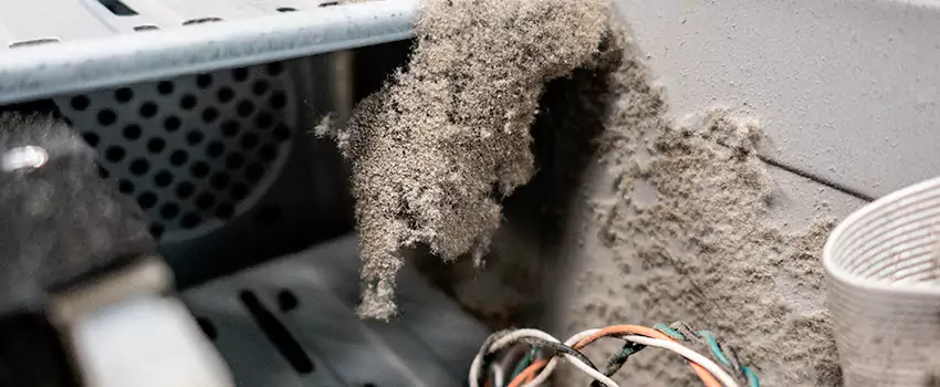 Clogged Dryer Vent Lint Cleaning in Saint-Charles, Quebec
