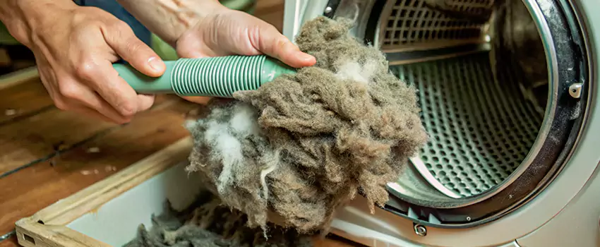 Best Dryer Lint Removal Company in Saint-Charles, Quebec