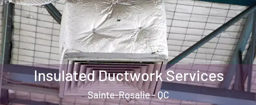  Insulated Ductwork Services Sainte-Rosalie - QC