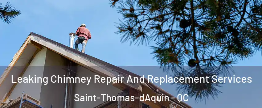  Leaking Chimney Repair And Replacement Services Saint-Thomas-dAquin - QC