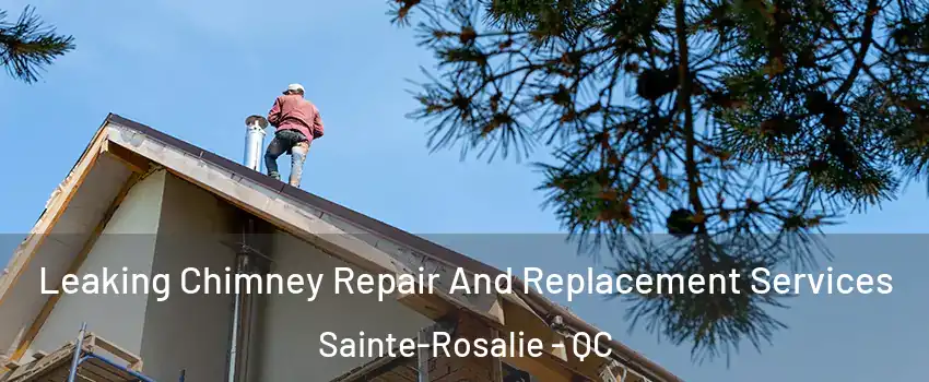  Leaking Chimney Repair And Replacement Services Sainte-Rosalie - QC