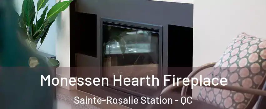  Monessen Hearth Fireplace Sainte-Rosalie Station - QC