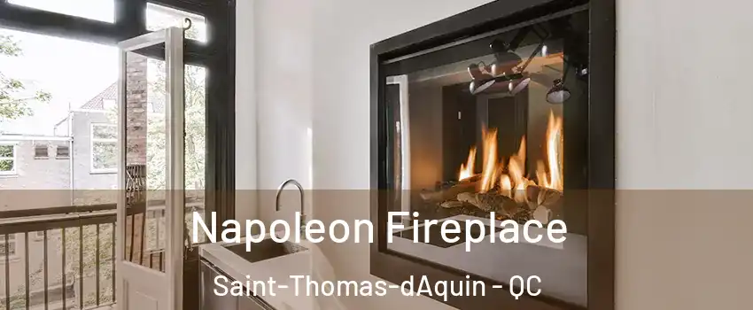  Napoleon Fireplace Saint-Thomas-dAquin - QC