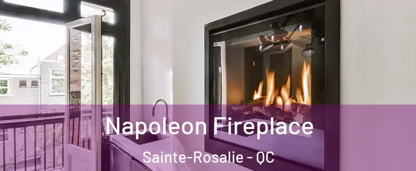  Napoleon Fireplace Sainte-Rosalie - QC