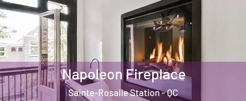  Napoleon Fireplace Sainte-Rosalie Station - QC