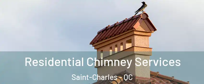  Residential Chimney Services Saint-Charles - QC