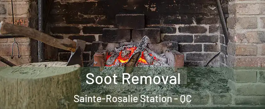  Soot Removal Sainte-Rosalie Station - QC