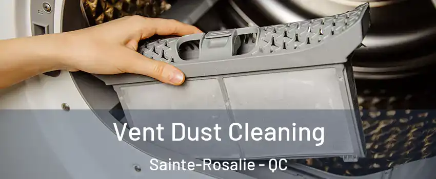  Vent Dust Cleaning Sainte-Rosalie - QC