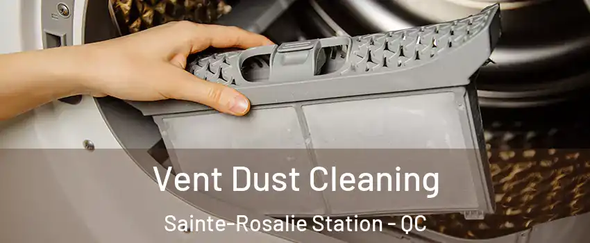  Vent Dust Cleaning Sainte-Rosalie Station - QC