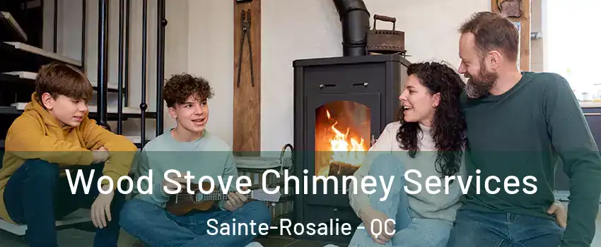  Wood Stove Chimney Services Sainte-Rosalie - QC