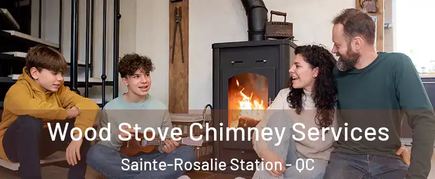  Wood Stove Chimney Services Sainte-Rosalie Station - QC