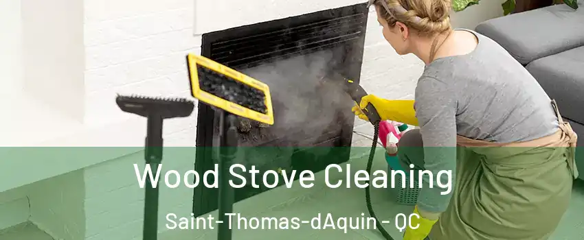  Wood Stove Cleaning Saint-Thomas-dAquin - QC