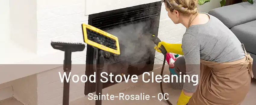  Wood Stove Cleaning Sainte-Rosalie - QC